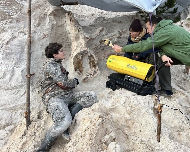 Источник: Григорьев Д. В. Фонтанка. ру