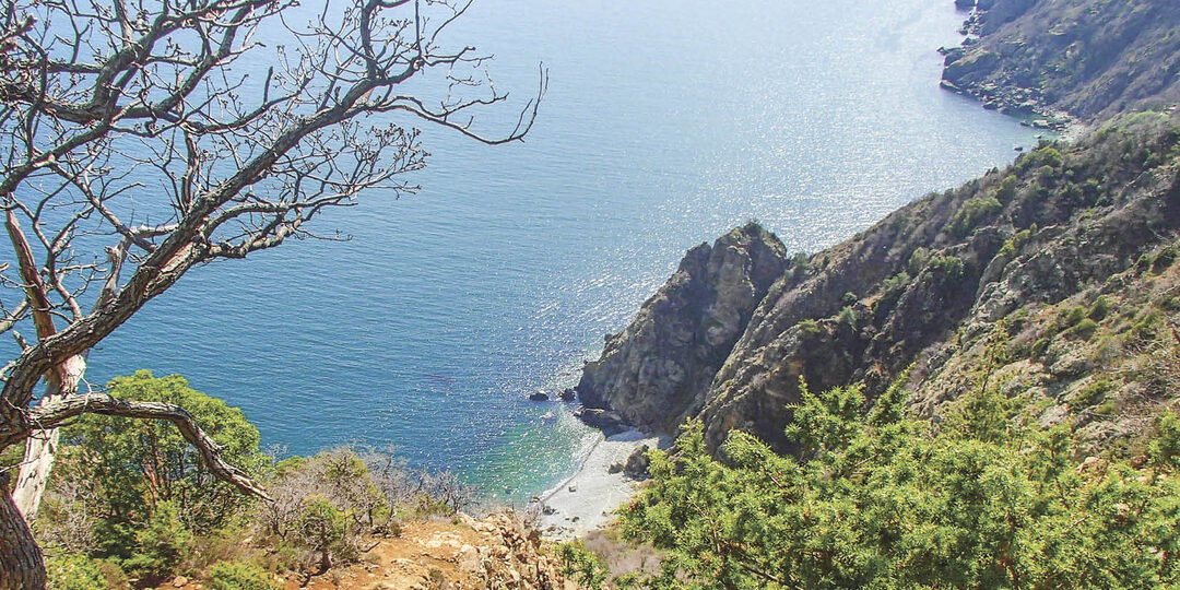 Крымские мотивы в произведениях Ивана Бунина