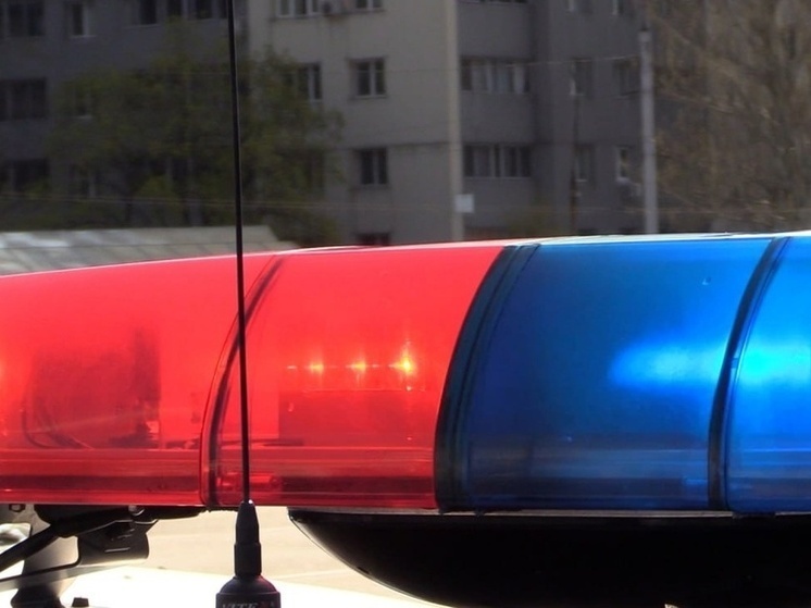     фото: мвд днр