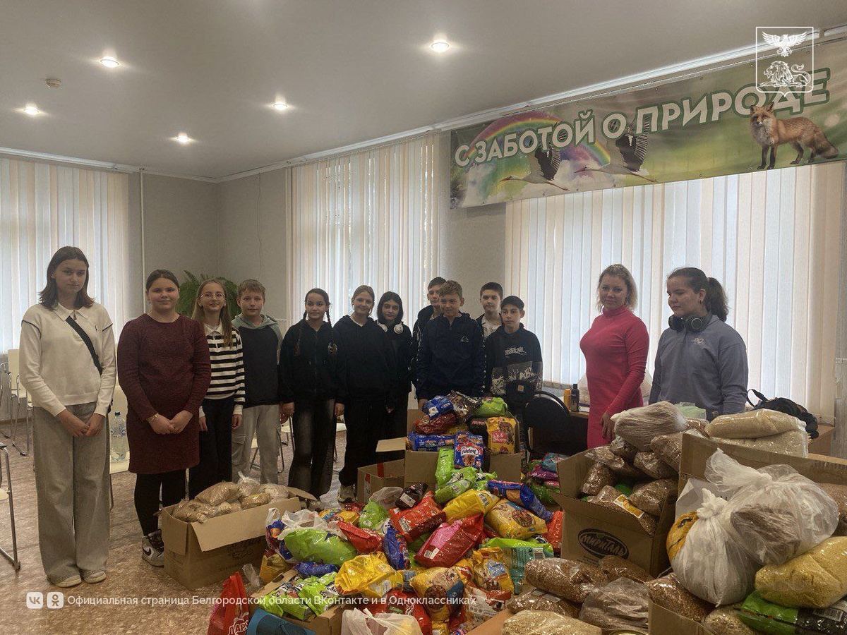 Фото: правительства Белгородской области