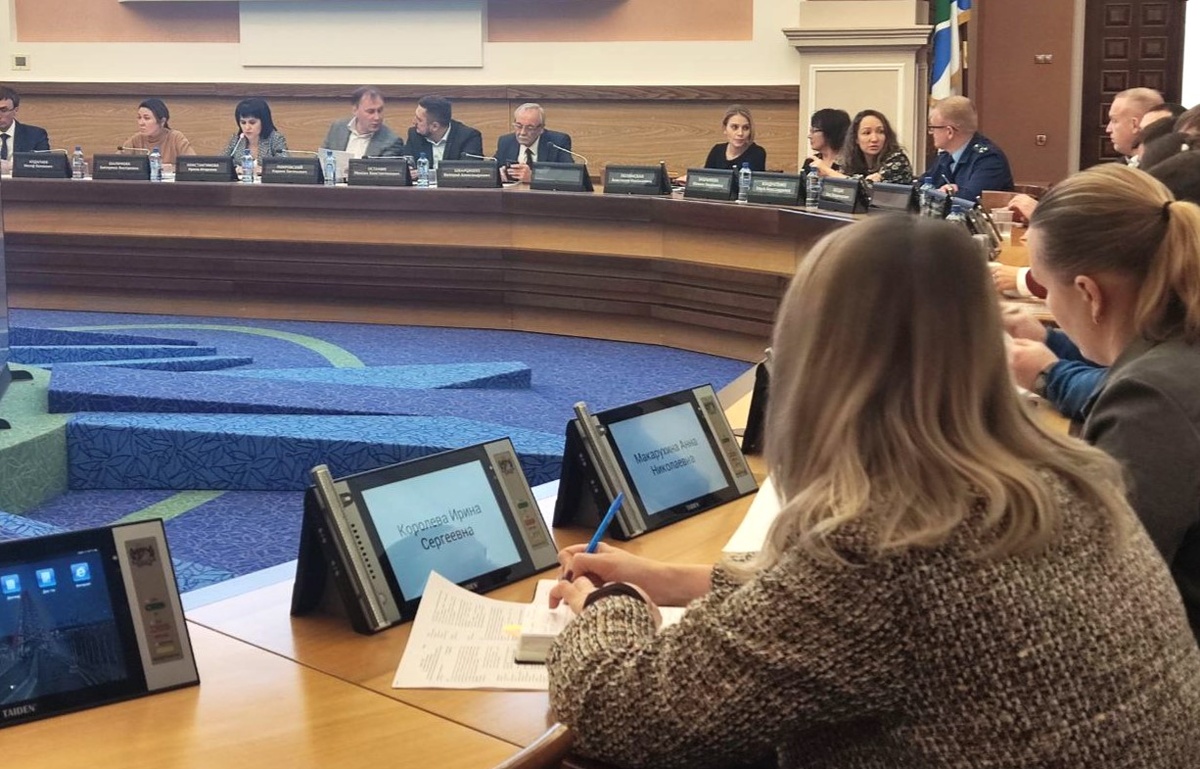 Идет заседание комиссии. Фото newsib.net.