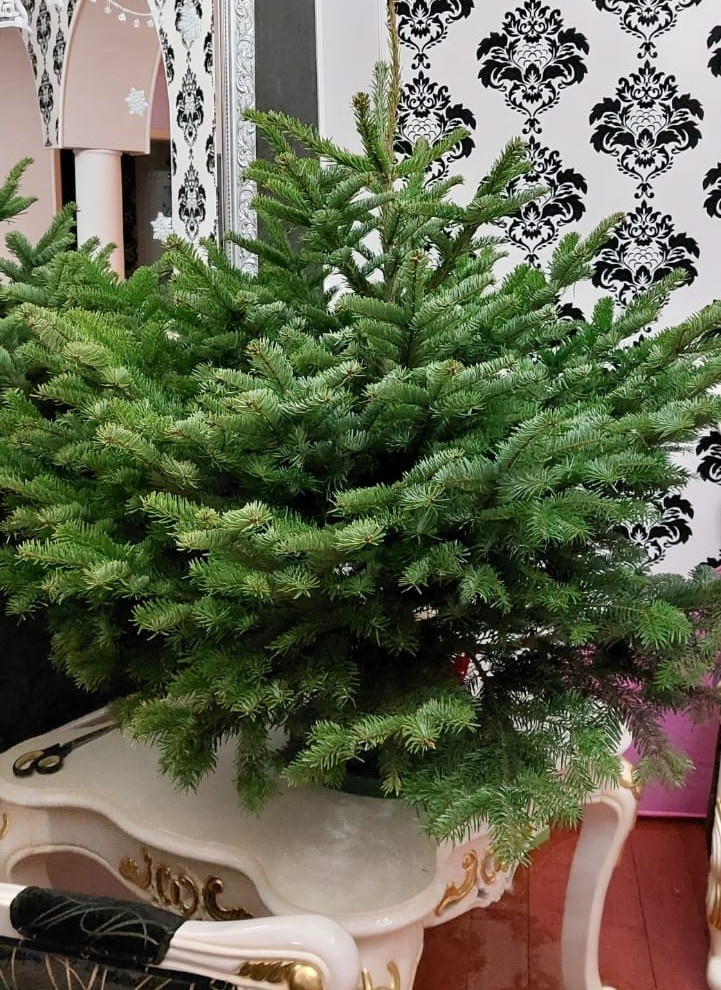 Даем елке постоять