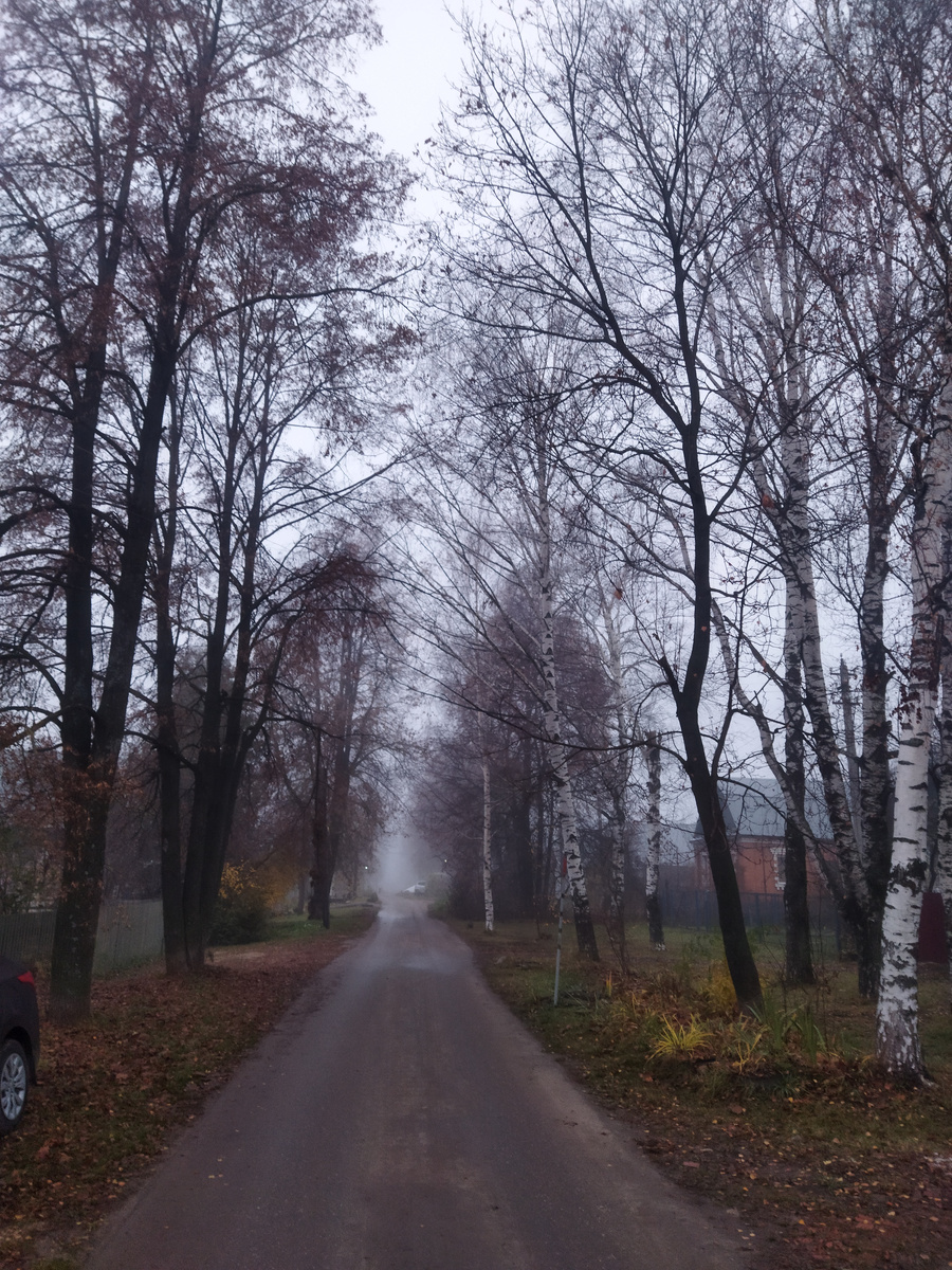 С утра туман по улице идёт