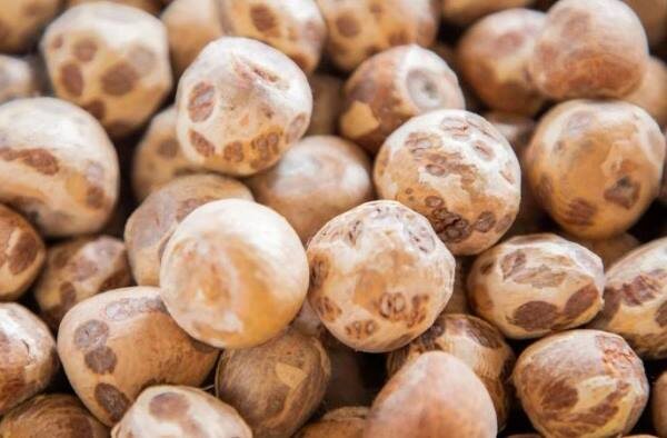 Фото: РИА Новости 