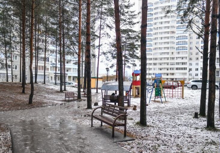    Фото: пресс-служба администрации города Перми Полина Анкушина