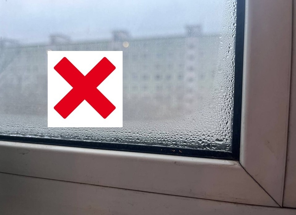 это НЕ НОРМА