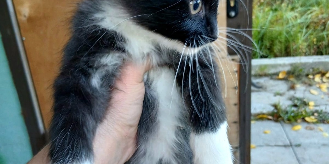 Выкинули в центре города