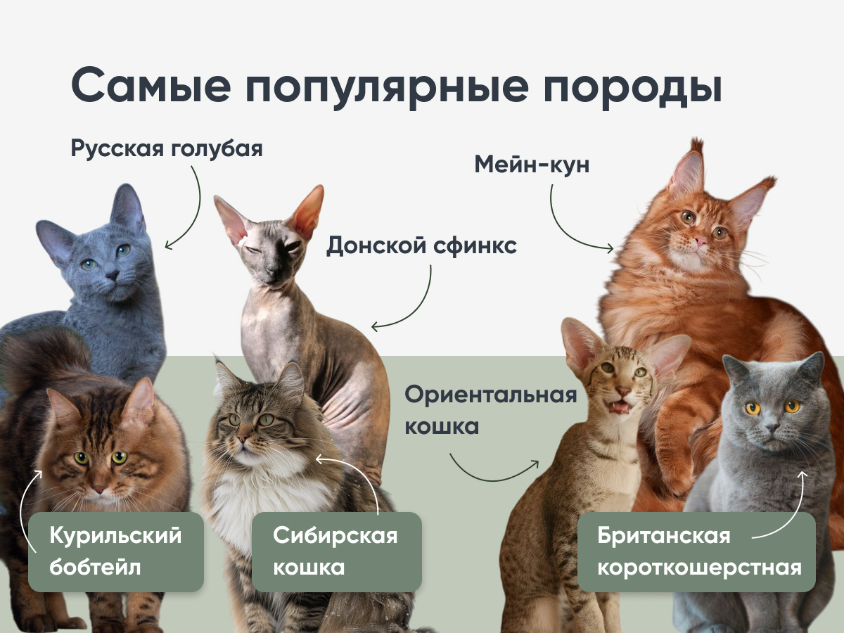 Любим всех!