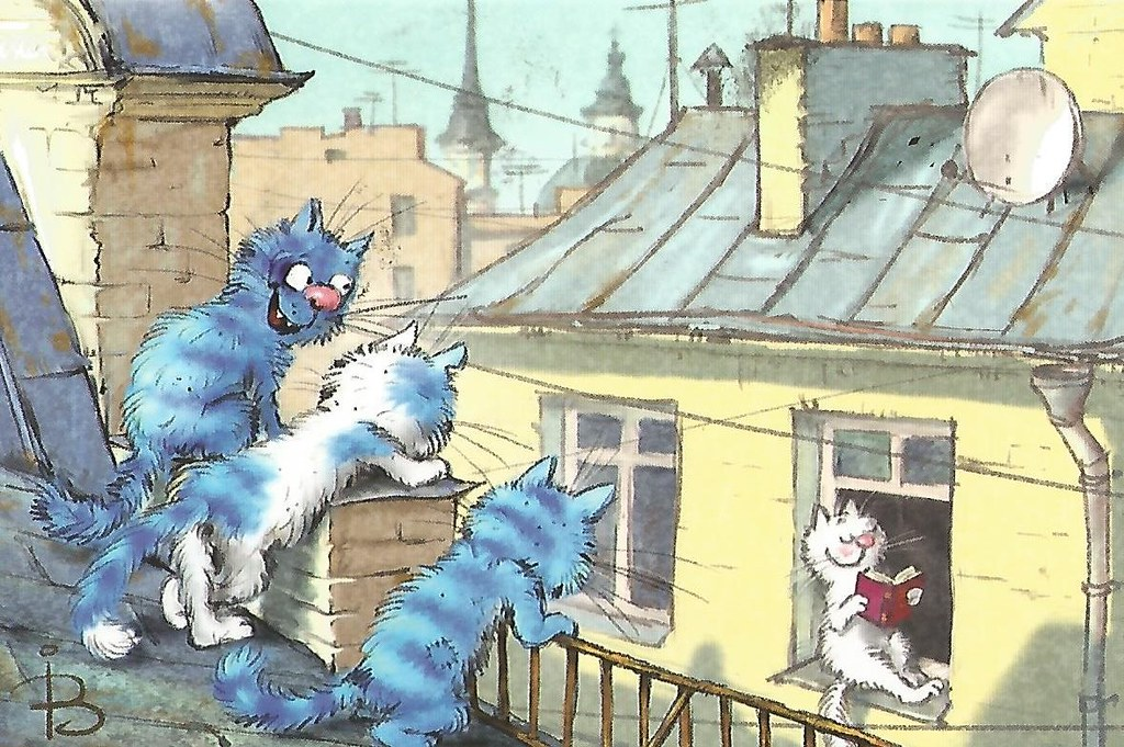 очаровательные коты Рины Зенюк