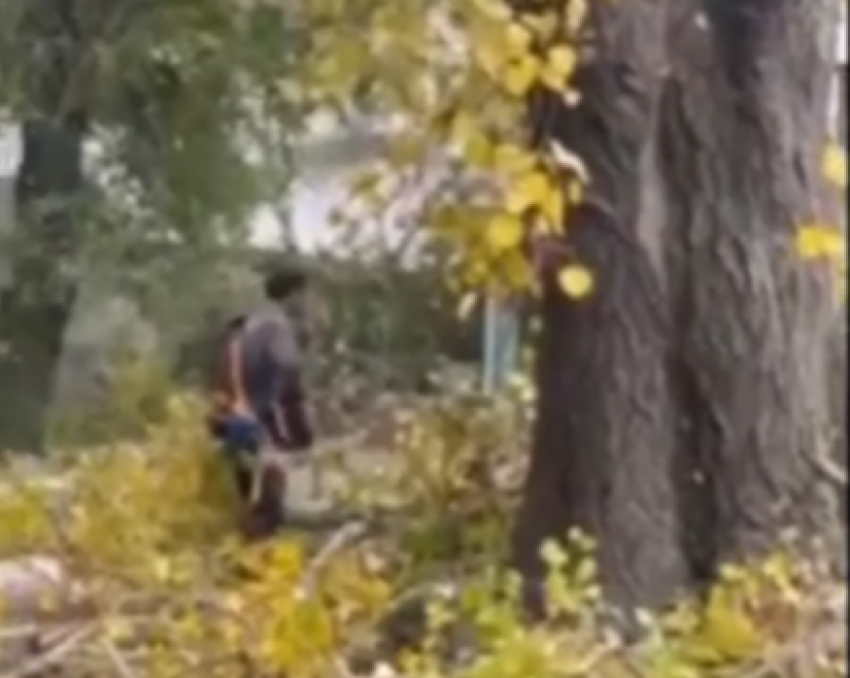 Фото  от читателя