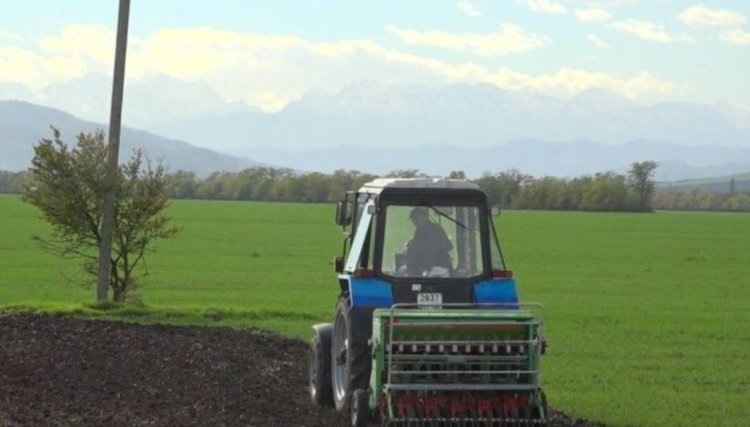    Фото: Филиал ФГБУ «Россельхозцентр» по Республике Ингушетия