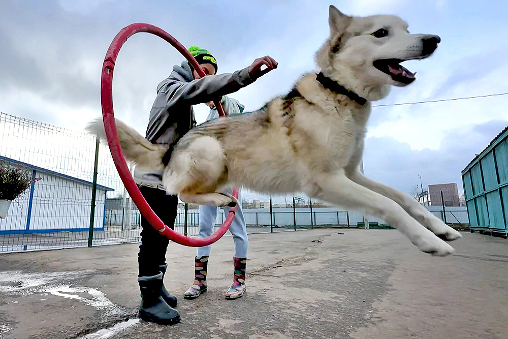    ©АО "ТВ Центр"