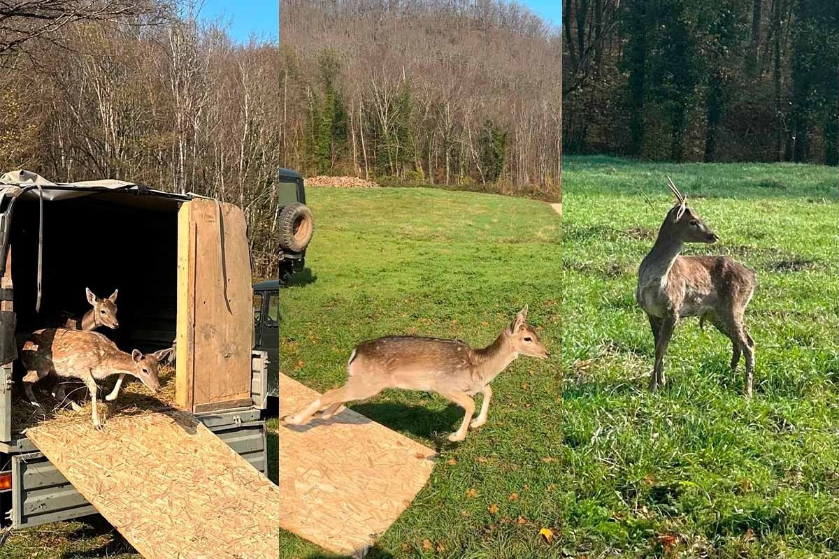    Фото t.me/gbu_kk_krasnodarkraioxota