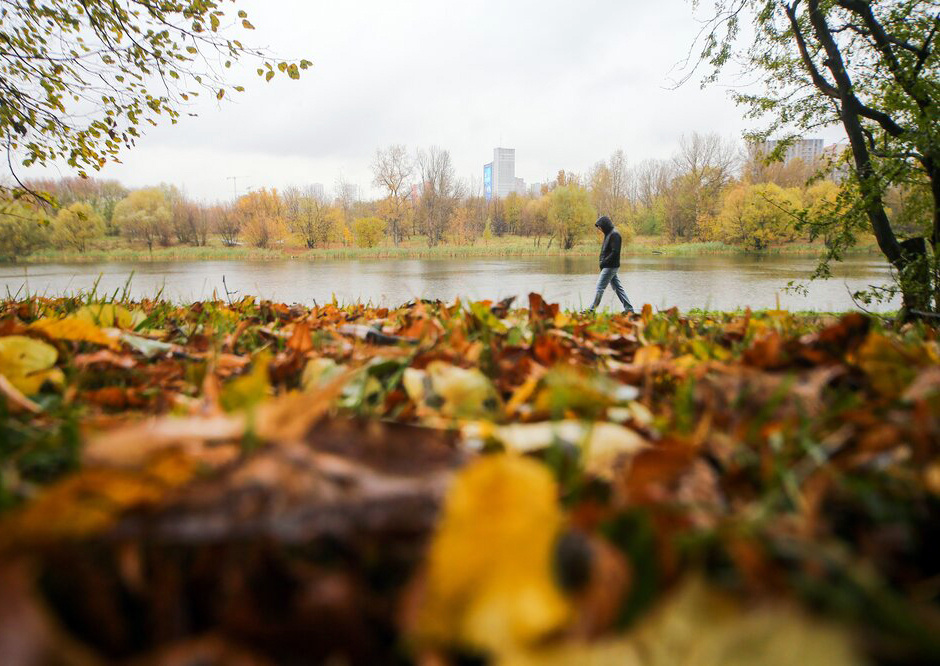    ©Агентство городских новостей "Москва"