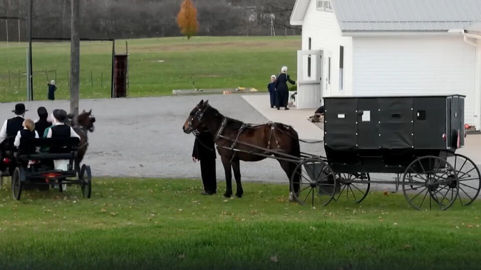 ФОТО: Кадр из программы "Тайны Чапман", РЕН ТВ