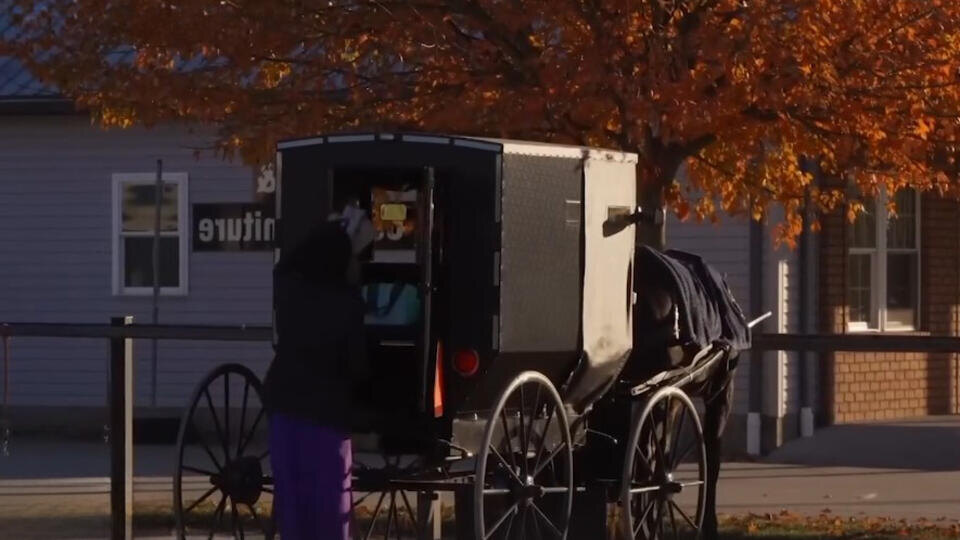 ФОТО: Кадр из программы "Тайны Чапман", РЕН ТВ