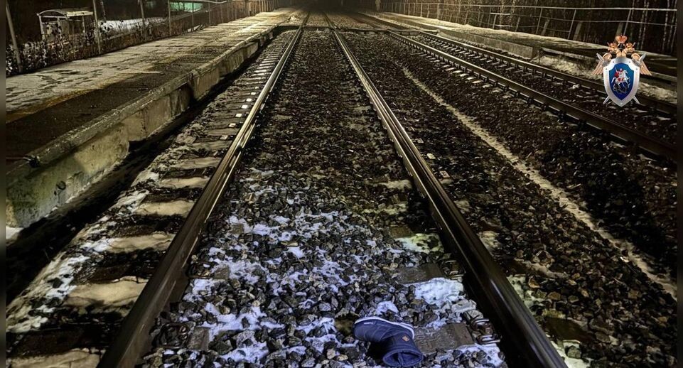    Центральный МСУТ СК России / Telegram