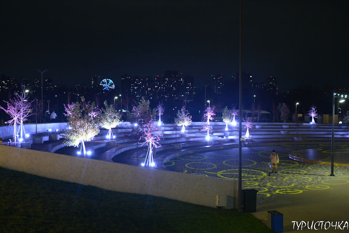 Амфитеатр с подсвеченными деревьями