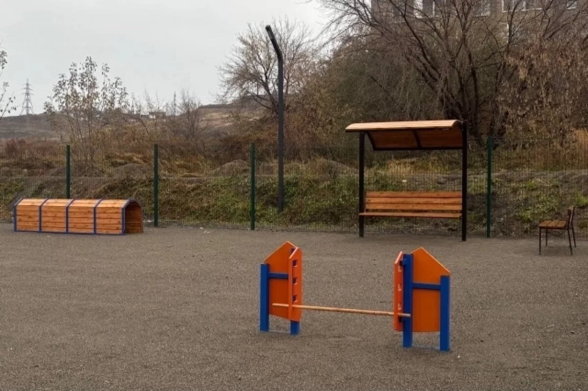    В Красноярске открыли две новые площадки для выгула собак
