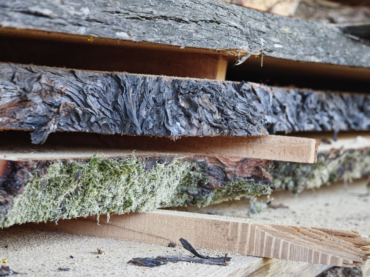 Доска для бани