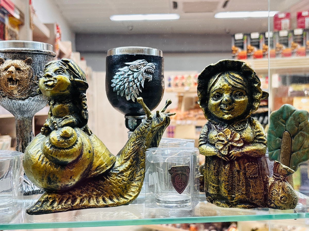 Хомлины в сувенирном магазине аэропорта Храброво 