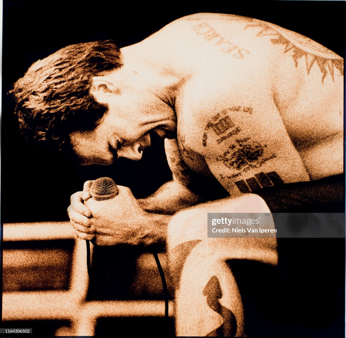 Rollins Band на концерте в Roskilde (Дания), 07.02.1994. Фото из открытых источников.