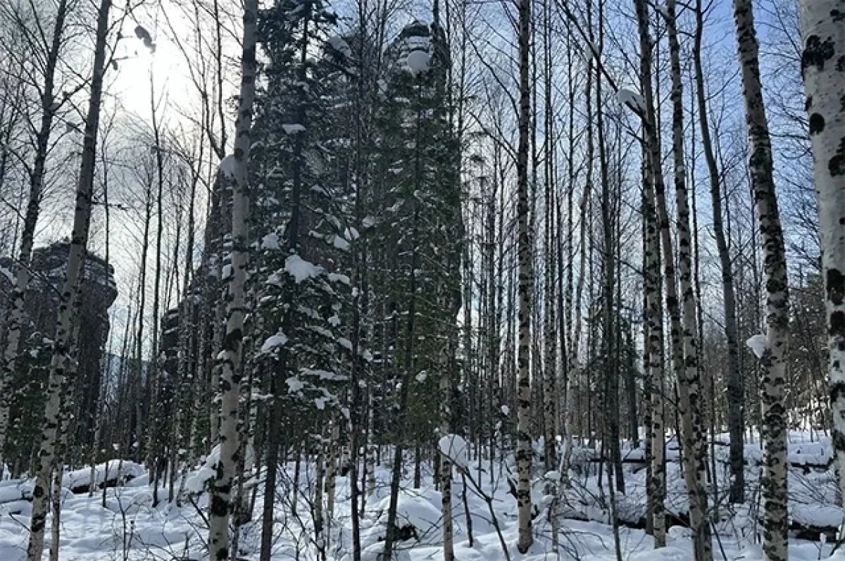    Федюнин сказал об охотнике, исчезнувшем, как Усольцевы в Красноярском крае