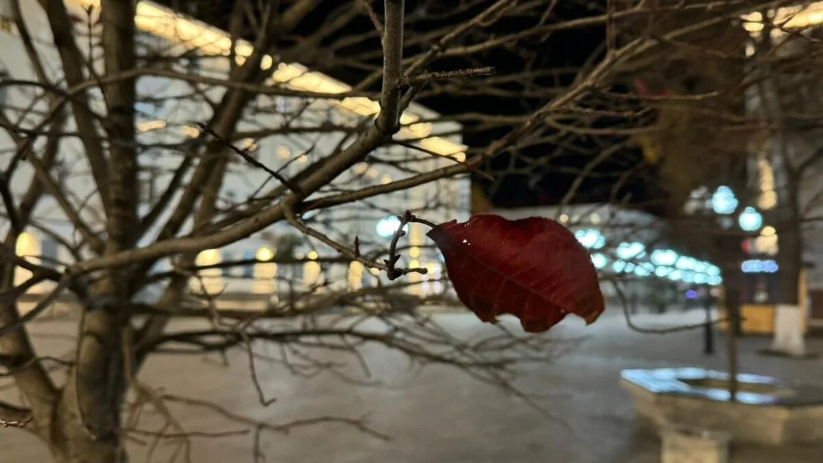 Фото: UfacityNews.ru