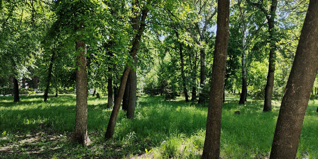 Пропавший сын егеря. Глава 19.