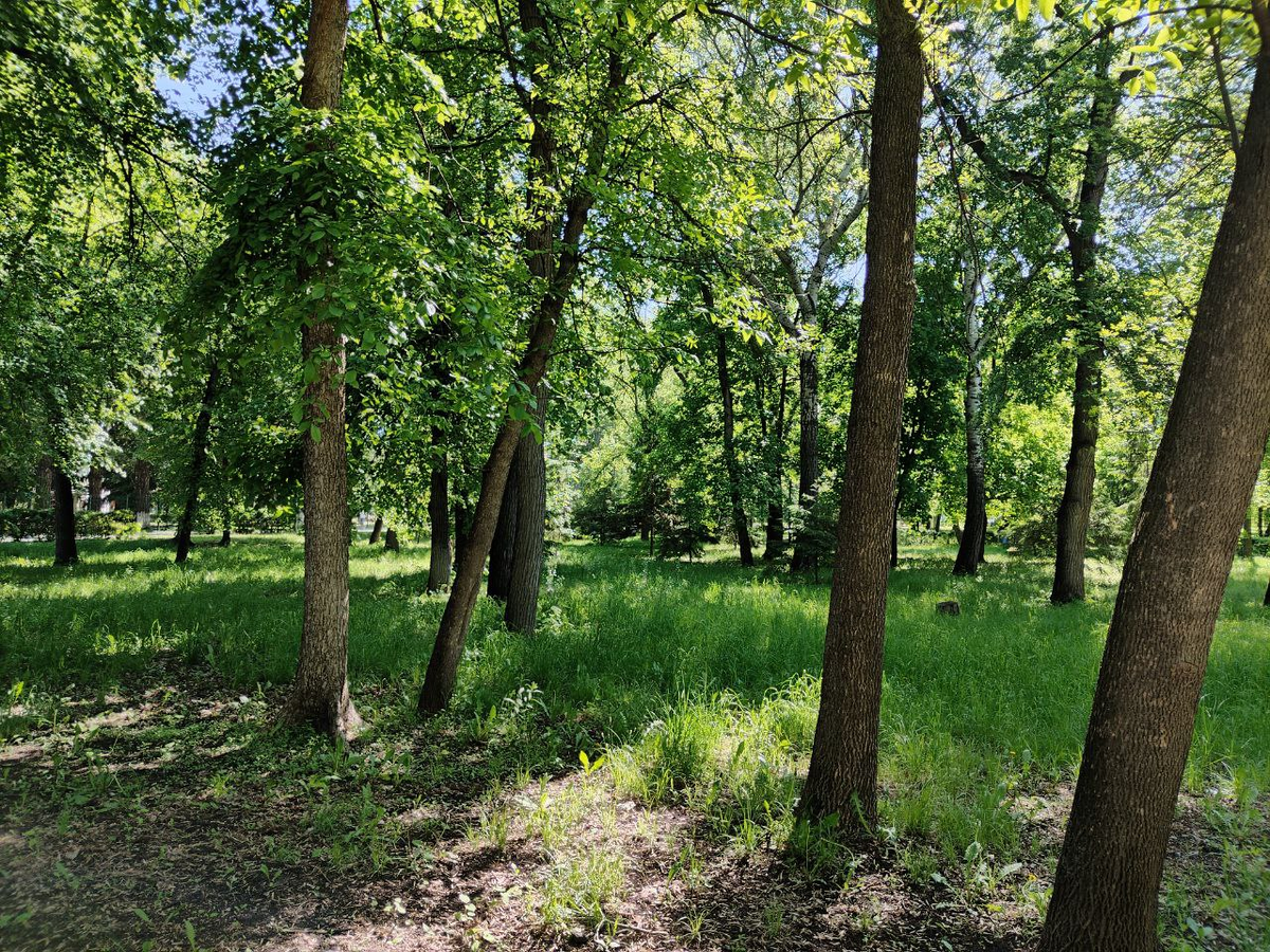 Фото автора.