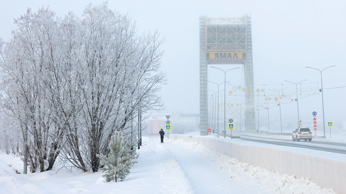    Фото: Федор Воронов / «Ямал-Медиа»
