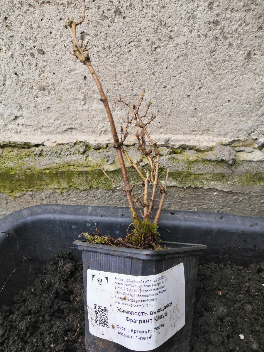 Подпись соответсвует