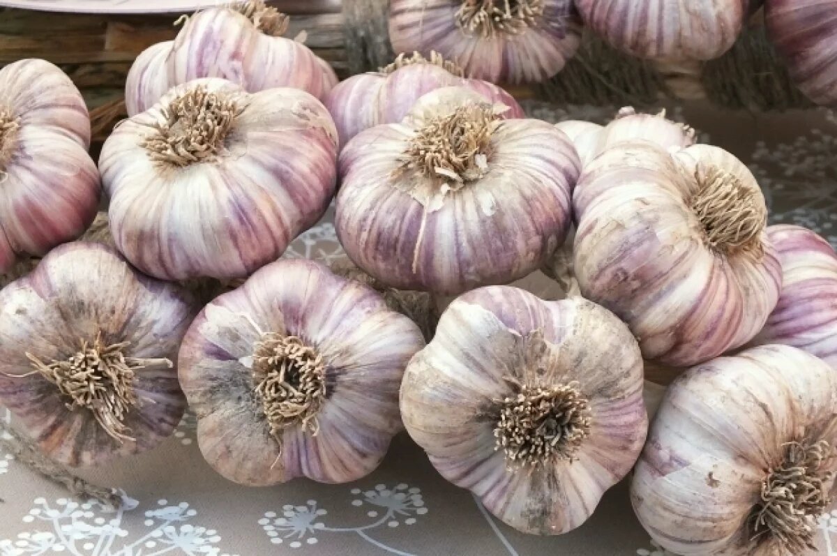    Россельхознадзор выявил нарушения при ввозе овощей и фруктов на Урал