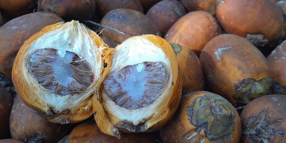    Фото: 123RF.com/priyaporn