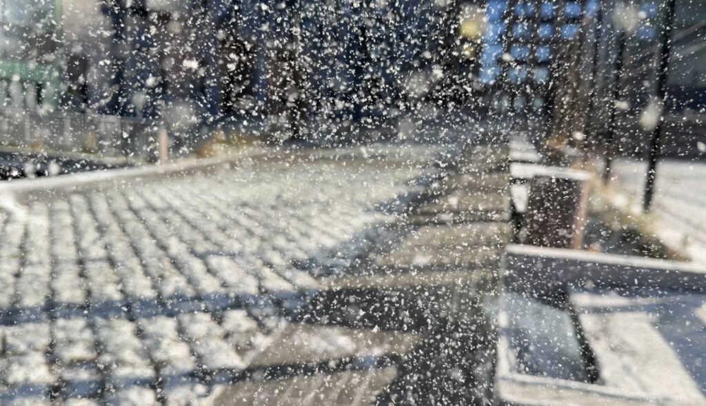    Screenshot Ольга Гилёва