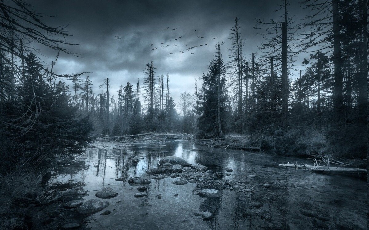 Картинка из интернета 