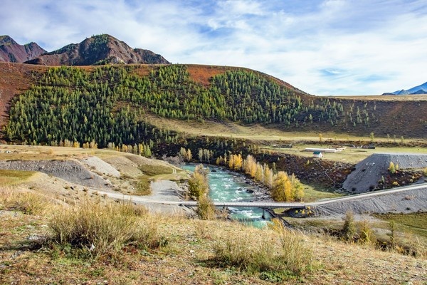 Куда бы ты ни посмотрел, тебе хочется смотреть ещё и ещё. Здесь подойдёт посмотреть, забрести, повернуть и ещё много чего ...   

Осень .. Чуя, Алтай ...   

  