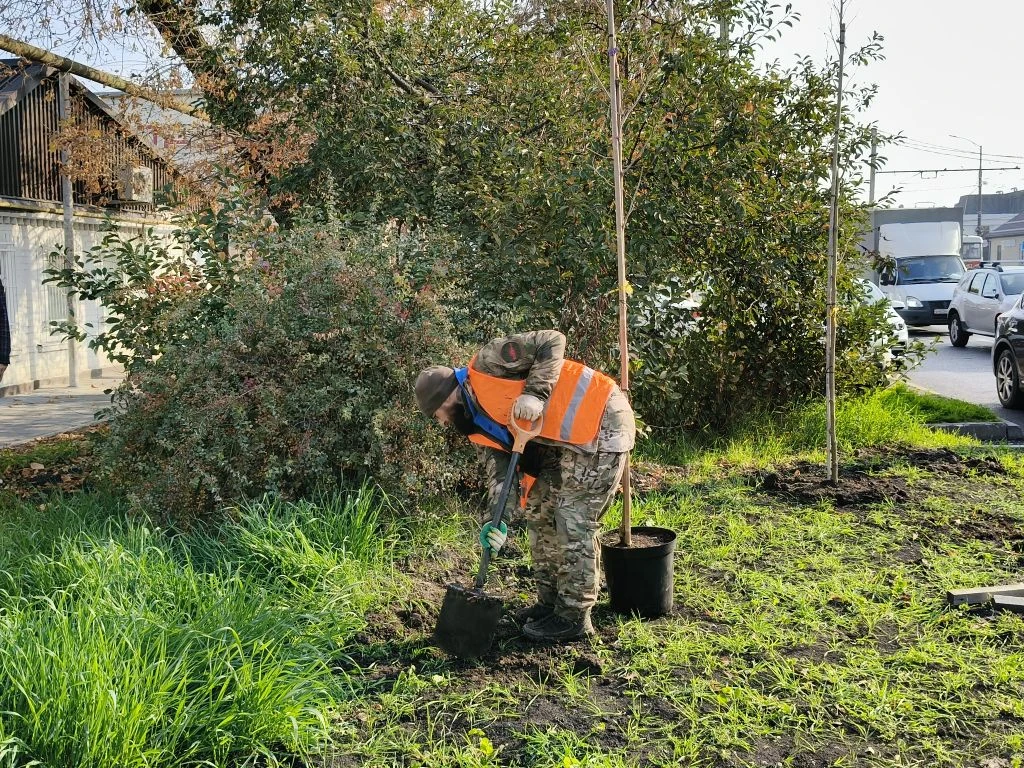 Фото: Пресс-служба администрации Краснодара