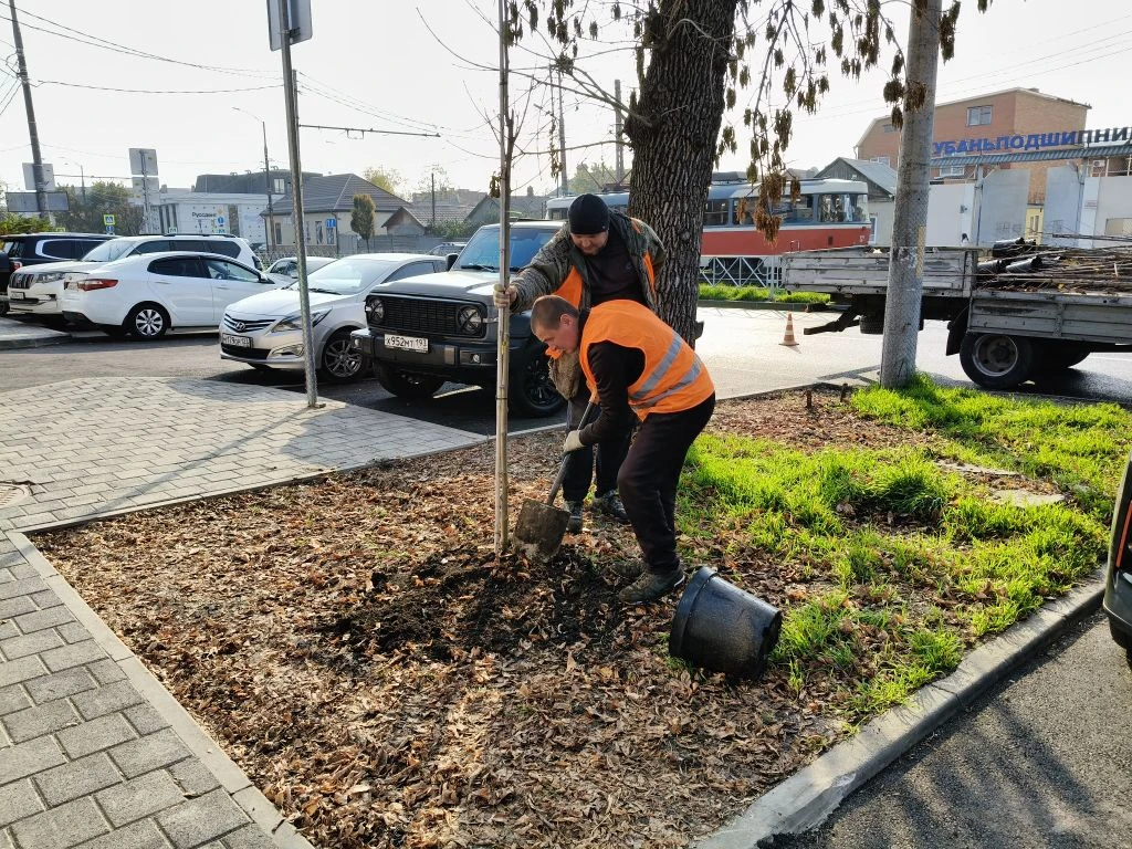 Фото: Пресс-служба администрации Краснодара