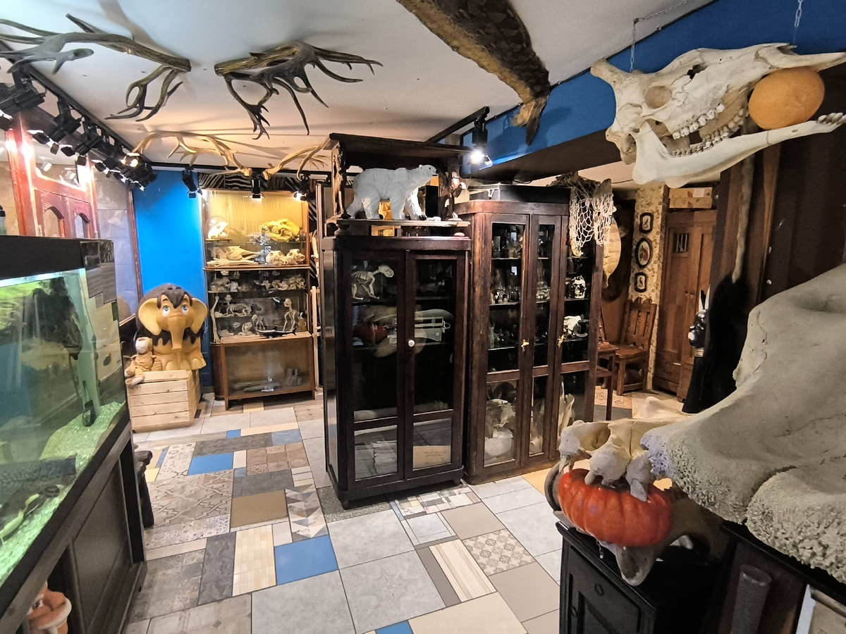 (© Анна, «Маяк энерджайзера»)