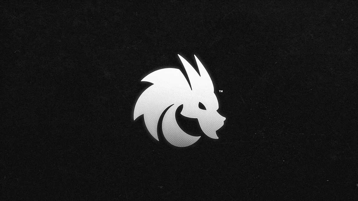 Источник: официальный сайт Team Spirit