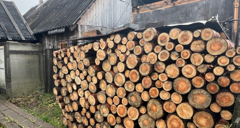    Дрова за счет государства: льготники Коми получат компенсацию за отопление