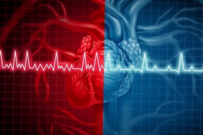 Инфаркт и инсульт: ключевые различия, первая помощь и стратегия выживания в критически важные минуты