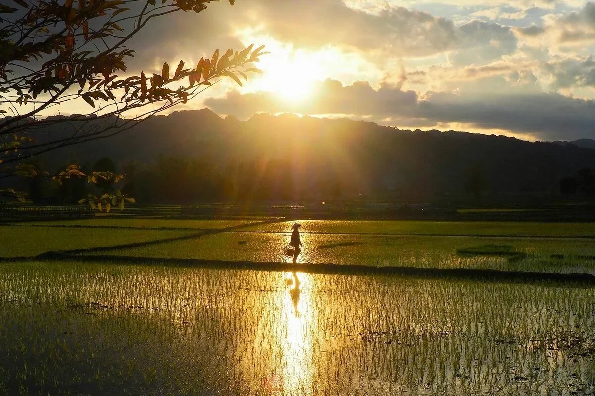    Лаос. Фото: ITM group