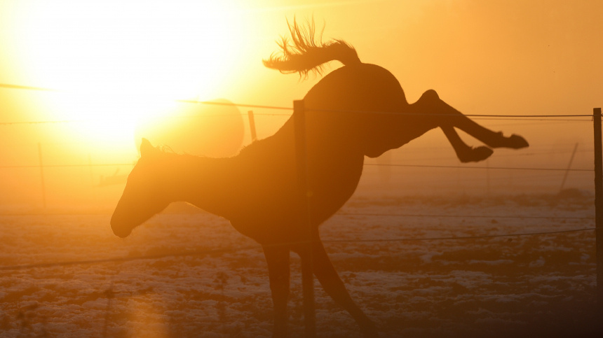    Фото: www.globallookpress.com/Thomas Warnack