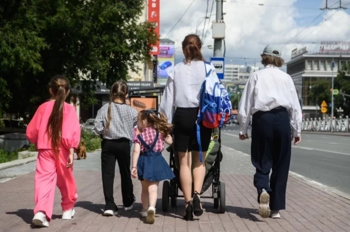    В Карелии только малоимущие многодетные семьи имеют льготы.