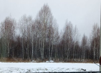 Когда мир замирает, а чайник всё равно свистит