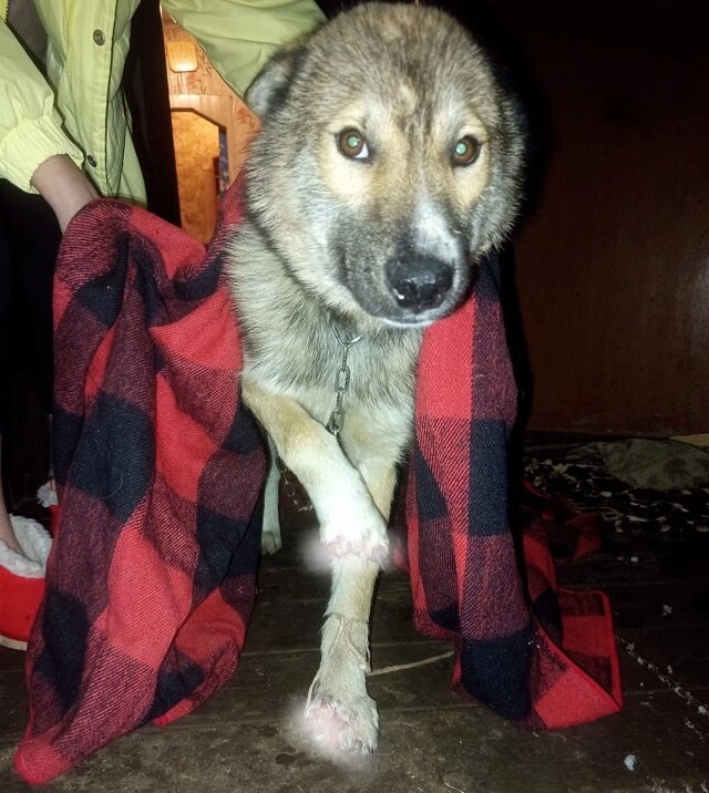    Фото: личный архив/ читатель АиФ