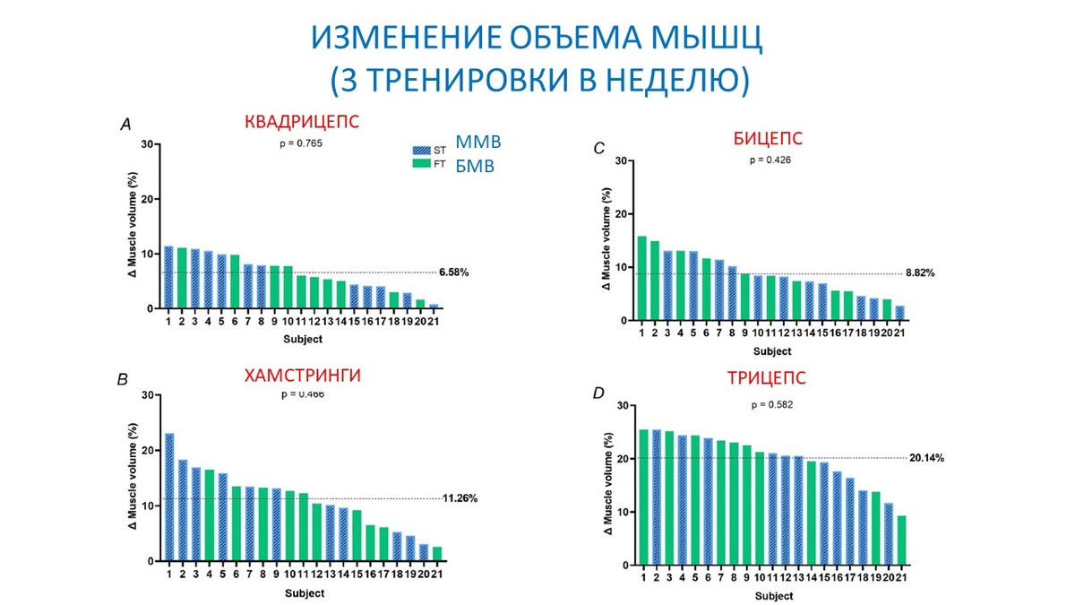 Рисунок 2. Изменение мышечной массы при 3 тренировках в неделю.
