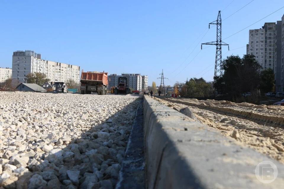    Фото: Матвей Горбунов / "Городские вести"